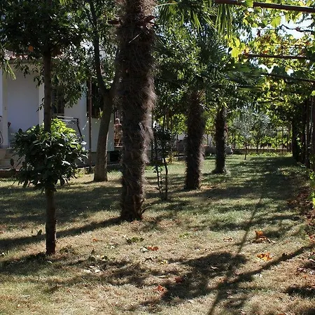 Studio 7195b Rovinj
