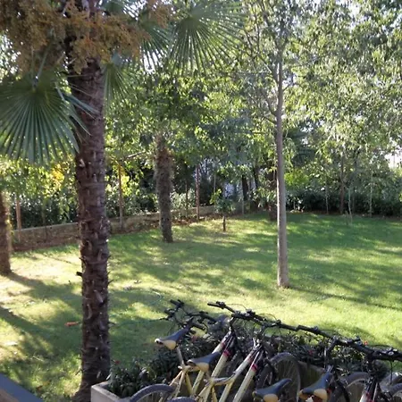 Studio 7195b Apartament
